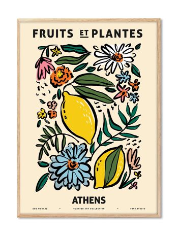 Zoé - Fruits et Plantes - Athènes - 50x70 cm 1