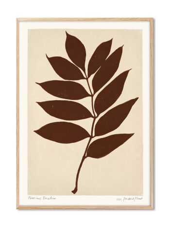 Fraxinus Excelsior - Plante Imprimée - 30x40 cm 1