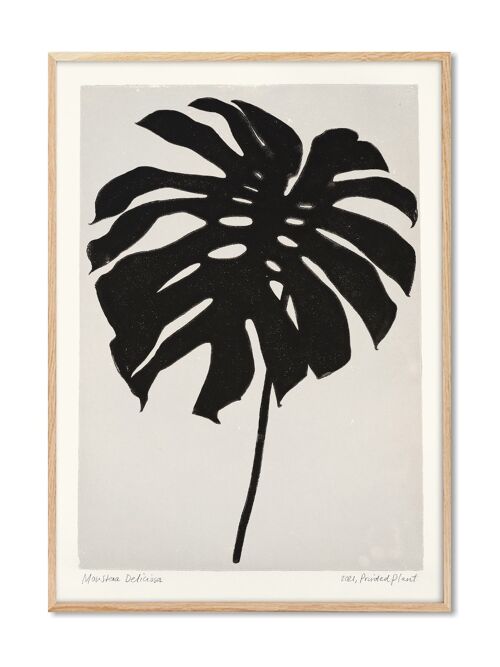 Monstera Deliciosa - PrintedPlant - 50x70 cm