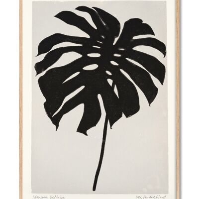 Monstera Deliciosa - Bedruckte Pflanze - 50x70 cm