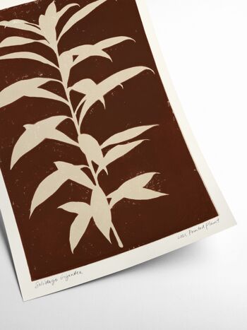 Solidago Gigantea - Plante Imprimée - 70x100 cm 2