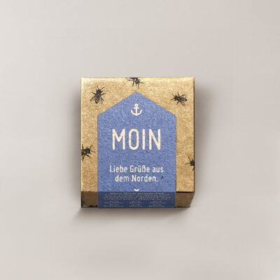 Honey Praline / Honey Praline 1er Special Edition Hello