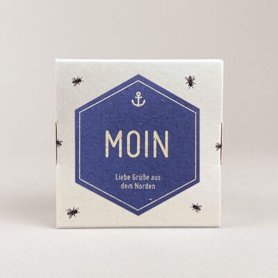 Honey Pralines / Honey Pralines 4-pack Moin