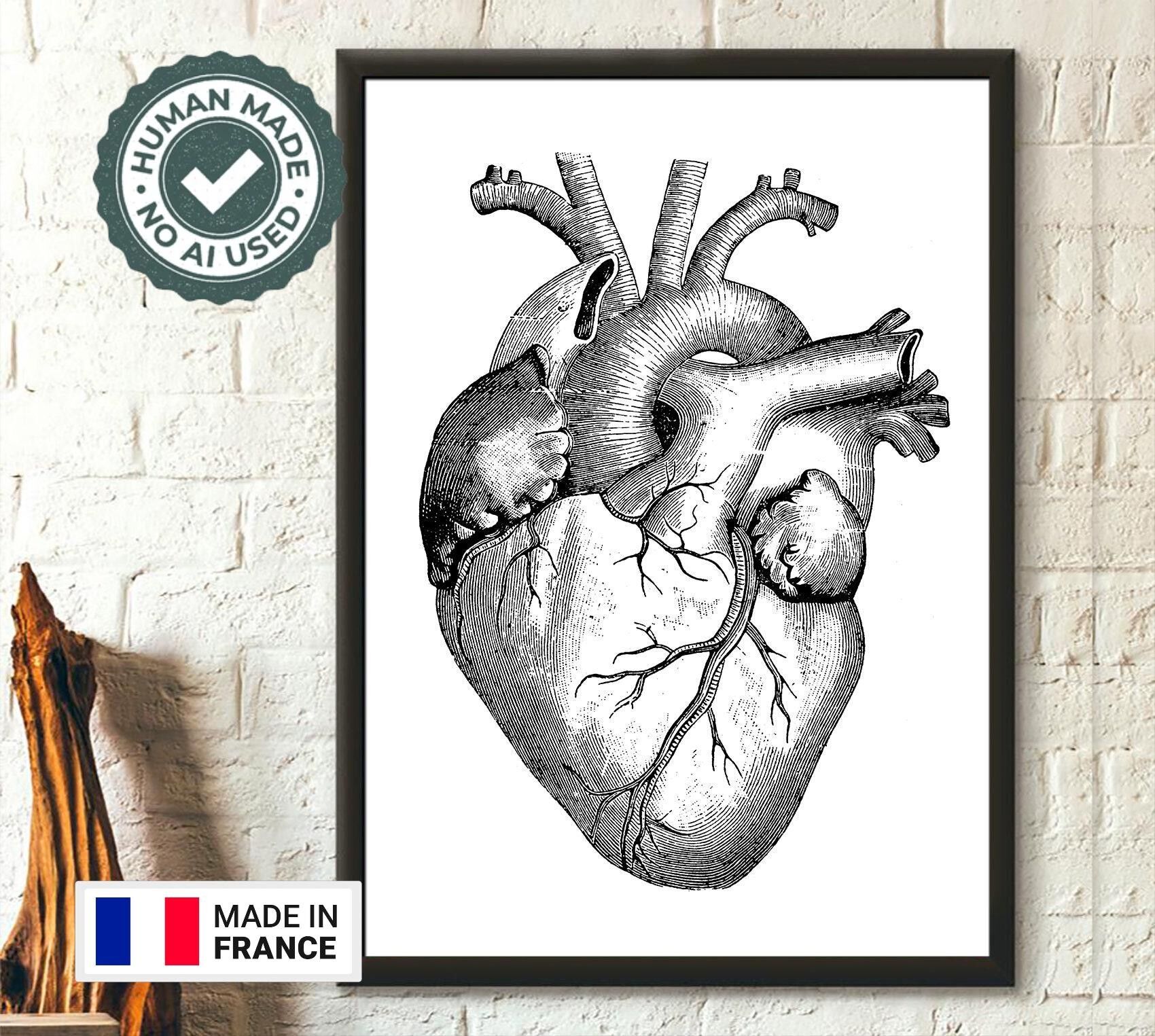 Stampa anatomica vintage del cuore umano - Arte murale medica - Decorazione unica per la laurea