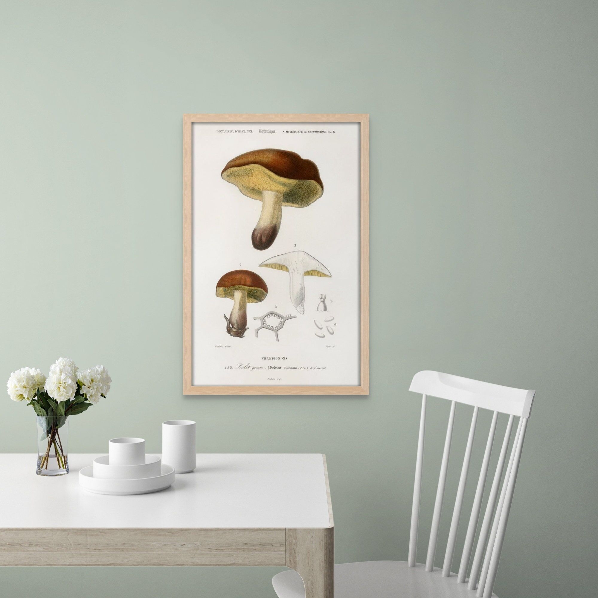Stampa artistica da parete con funghi vintage – Decorazione botanica per gli amanti della natura – Poster unico con funghi