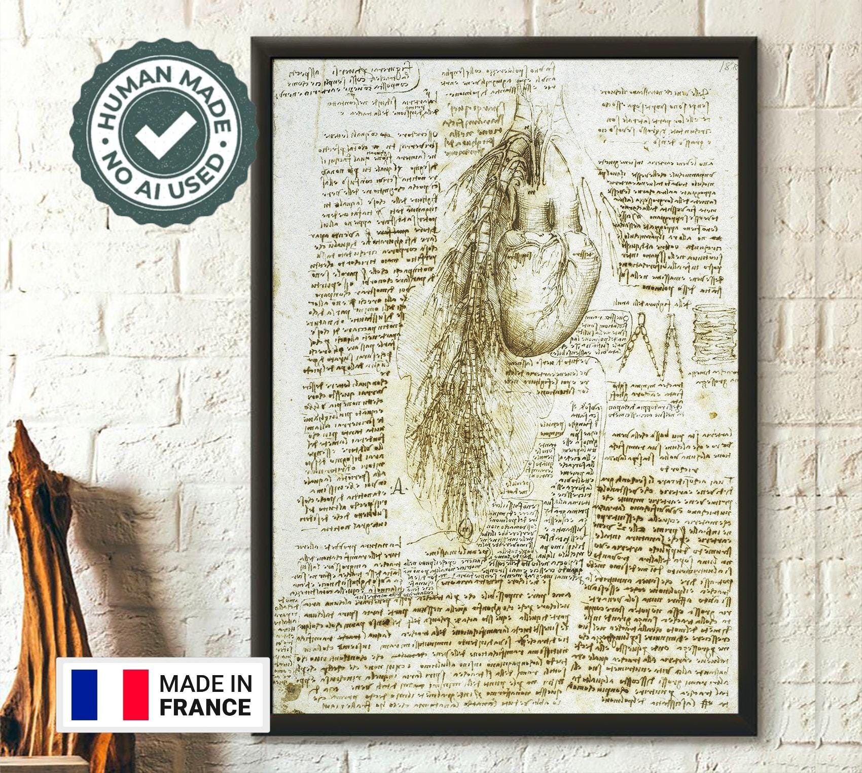 Stampa anatomica del cuore di Da Vinci – Poster medico – Decorazione vintage di anatomia umana