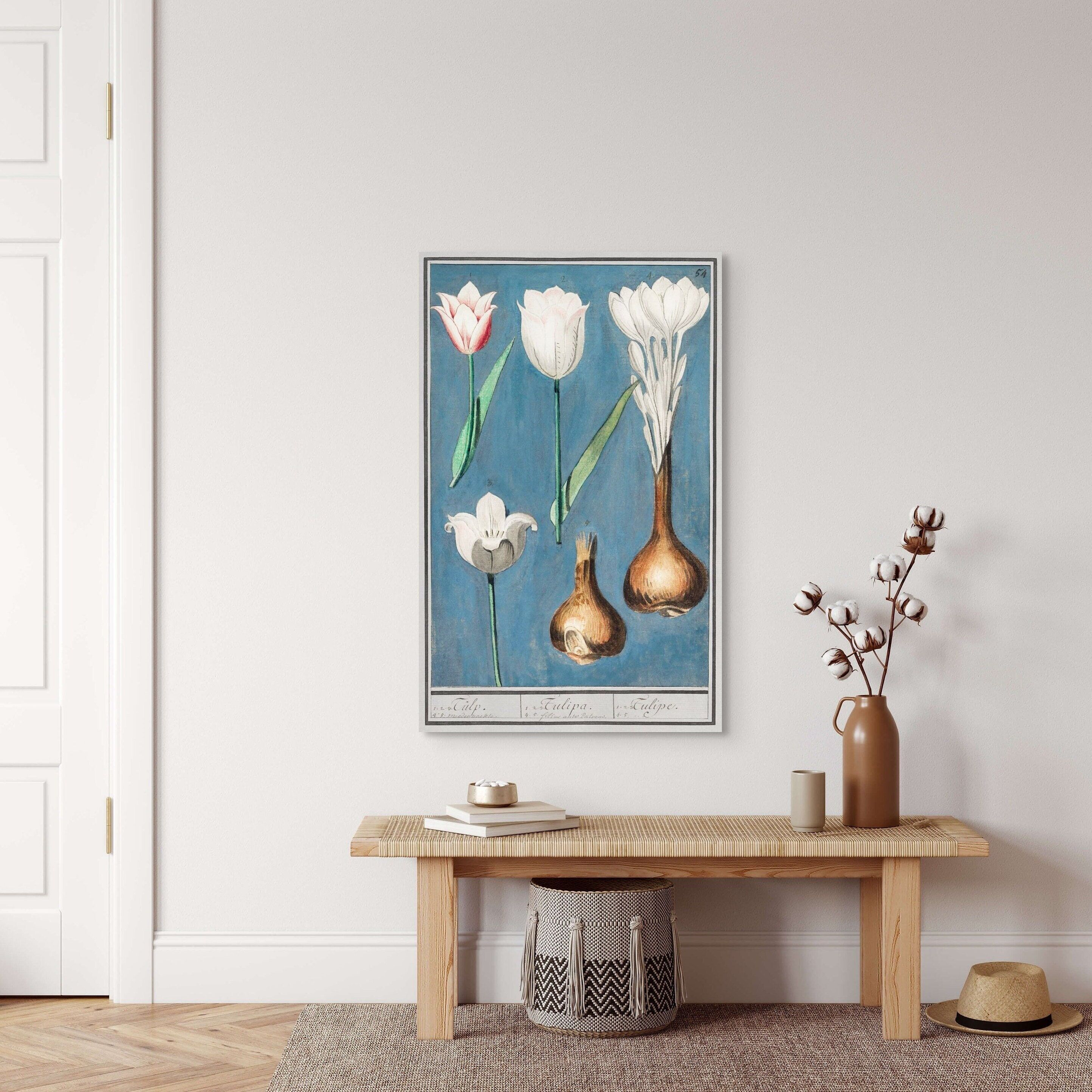 Tulipano botanico vintage – Elegante poster floreale da cucina – Poster con pianta classica
