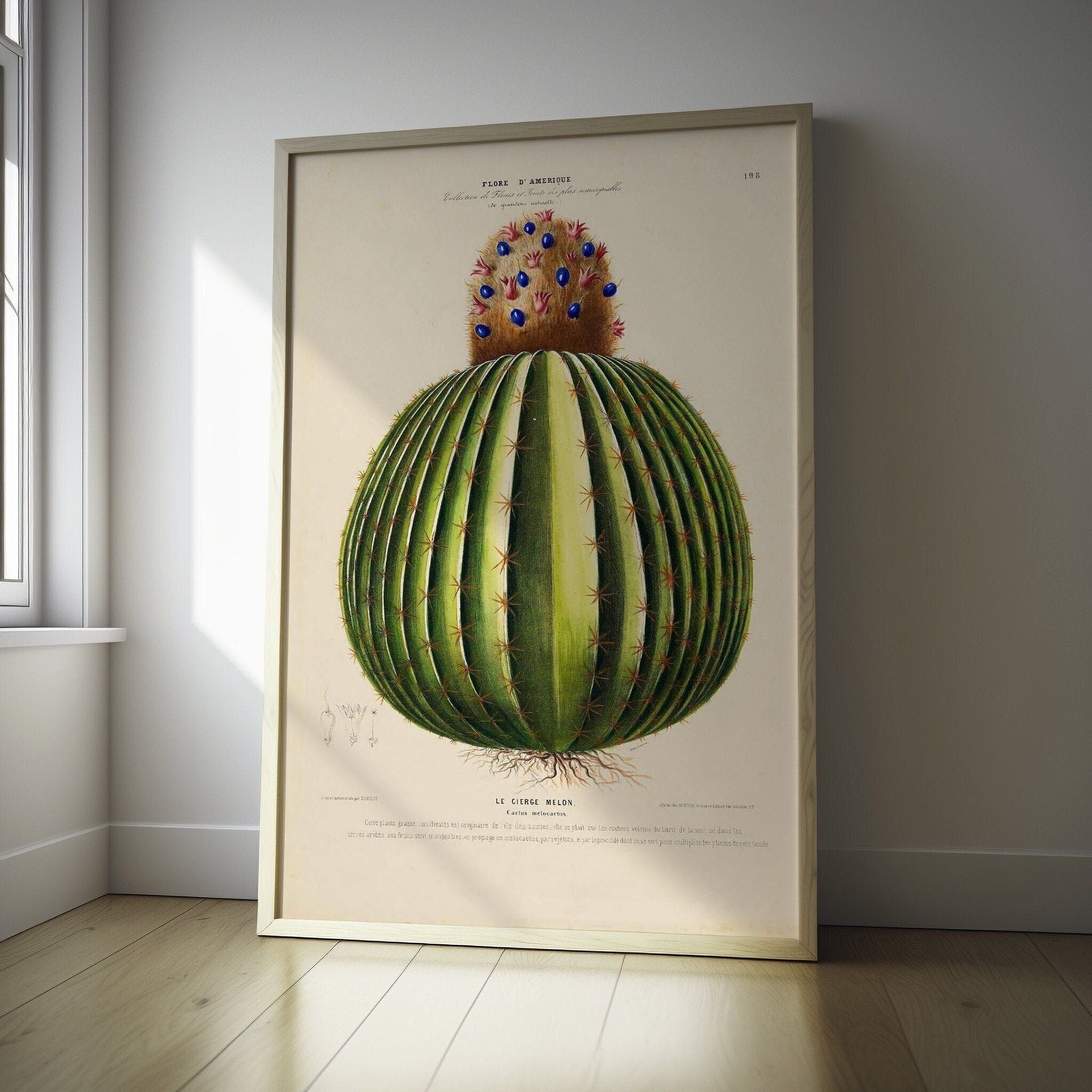 Poster vintage di cactus – Arte botanica di alta qualità – Decorazione unica per la cucina – Idea regalo premurosa