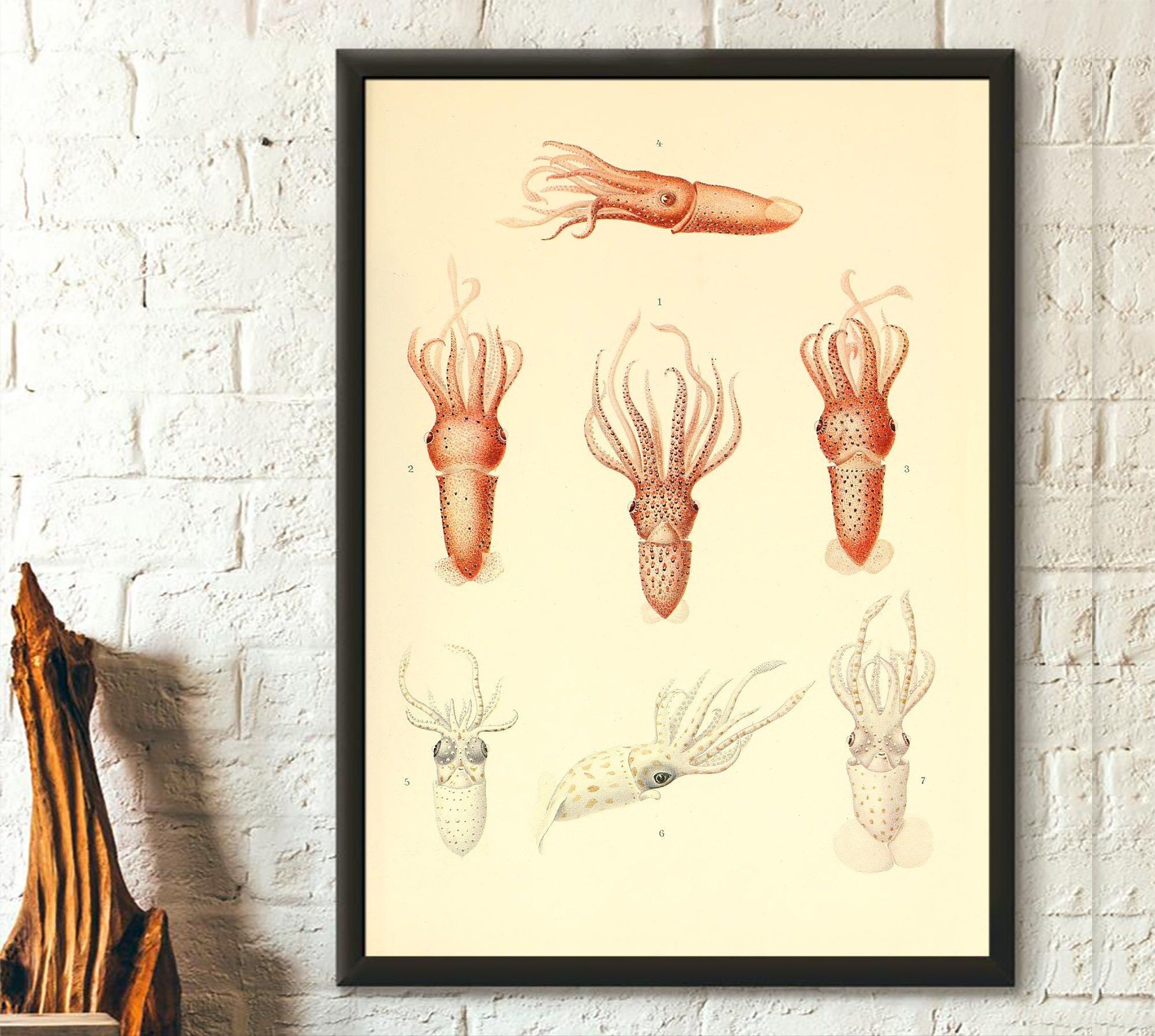 Poster da parete "Polpo" – Decorazione marina vintage per la cameretta dei bambini