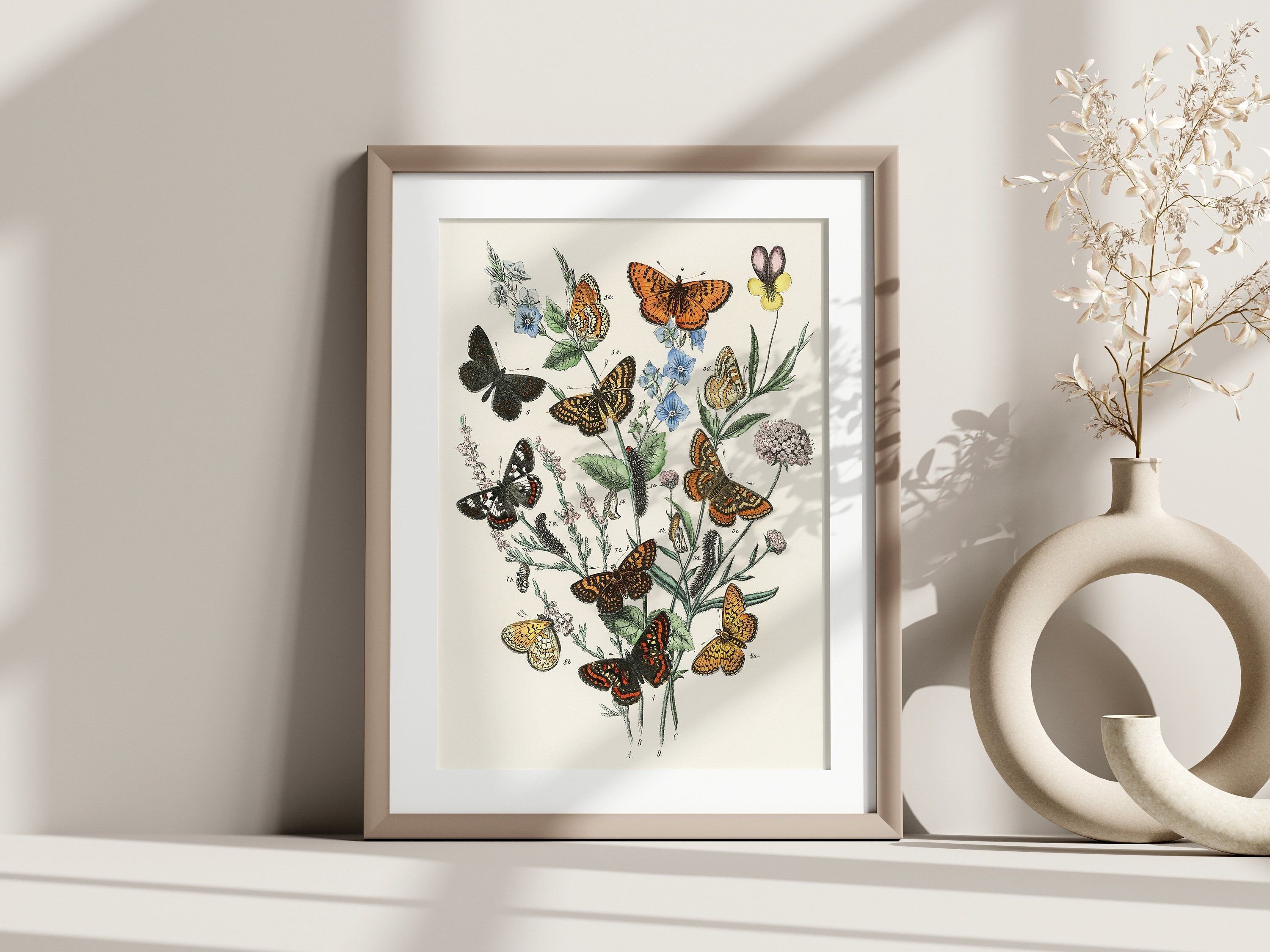 Poster botanico vintage con farfalle – Elegante decorazione da parete – Idea regalo