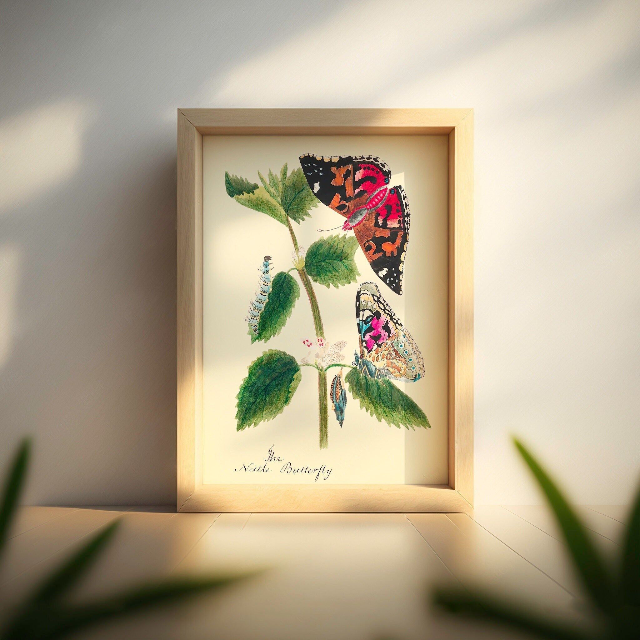 Poster da parete botanico vintage con farfalle – Idea regalo per gli amanti della natura