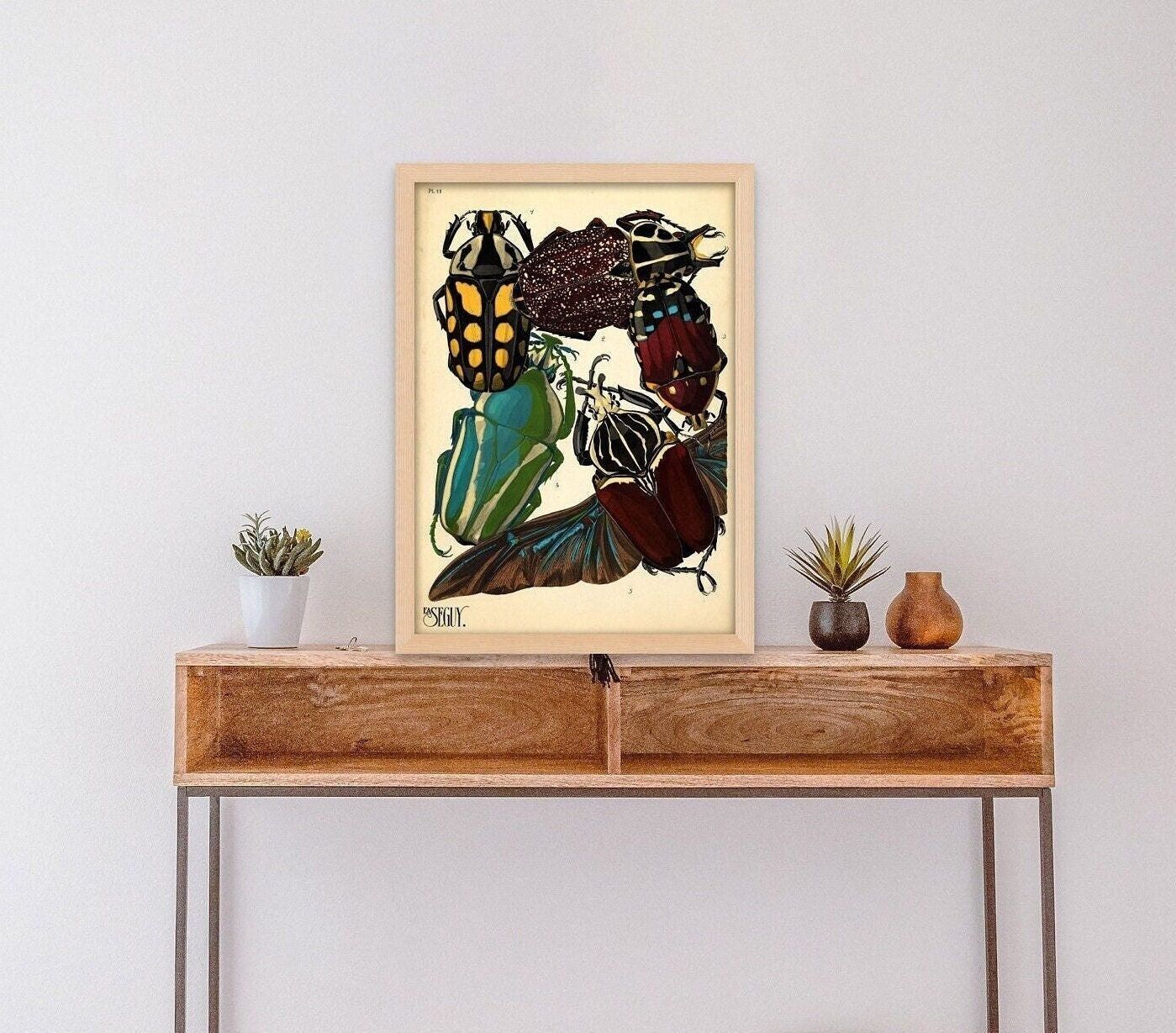 Poster Premium: Arte murale vintage con insetti - Poster di coleotteri - Poster botanici - Decorazioni vintage con insetti