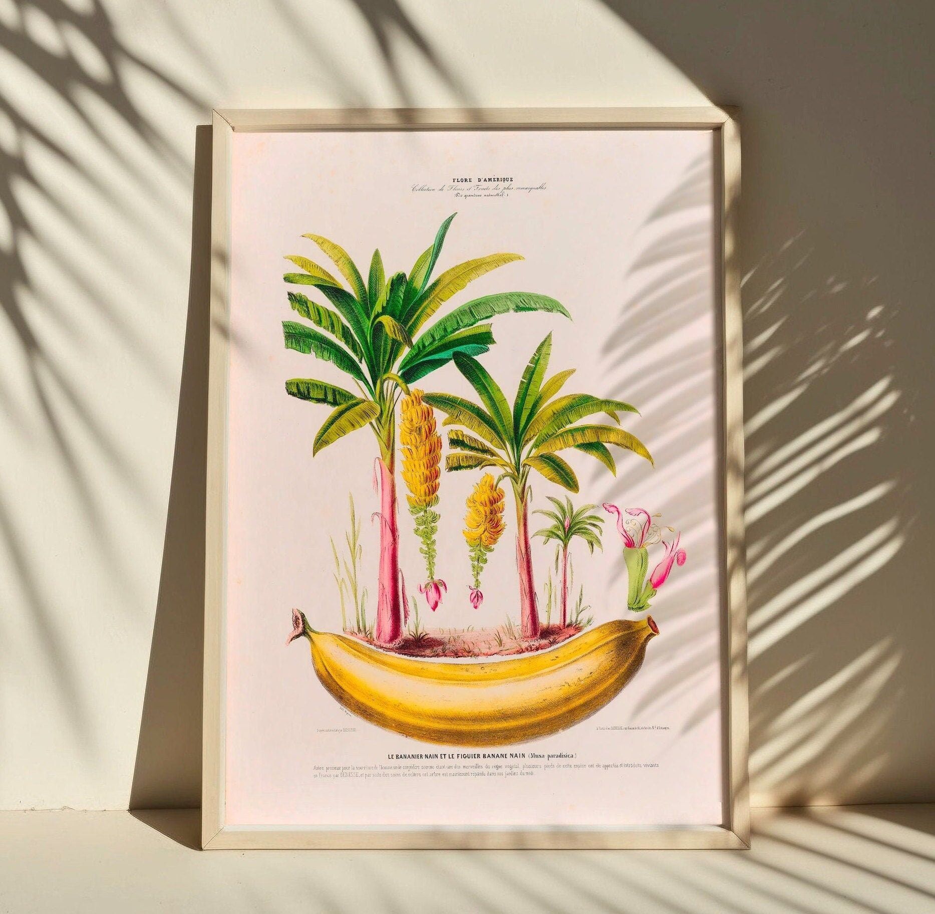 Poster Banana Kitchen – Arte murale minimalista