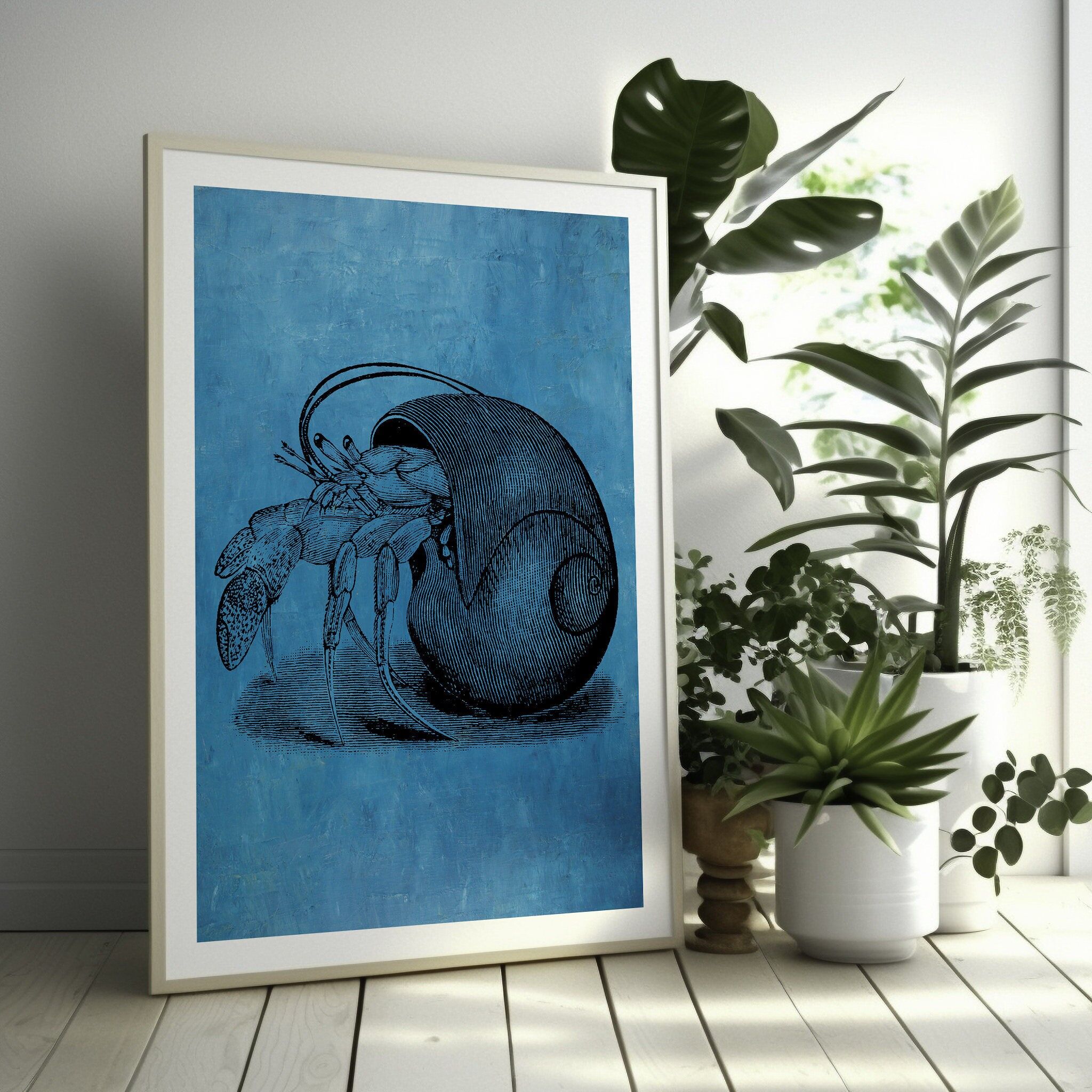 Poster Premium: Lumaca di mare da parete – Poster sulla vita marina – Crea il tuo set – Arte murale