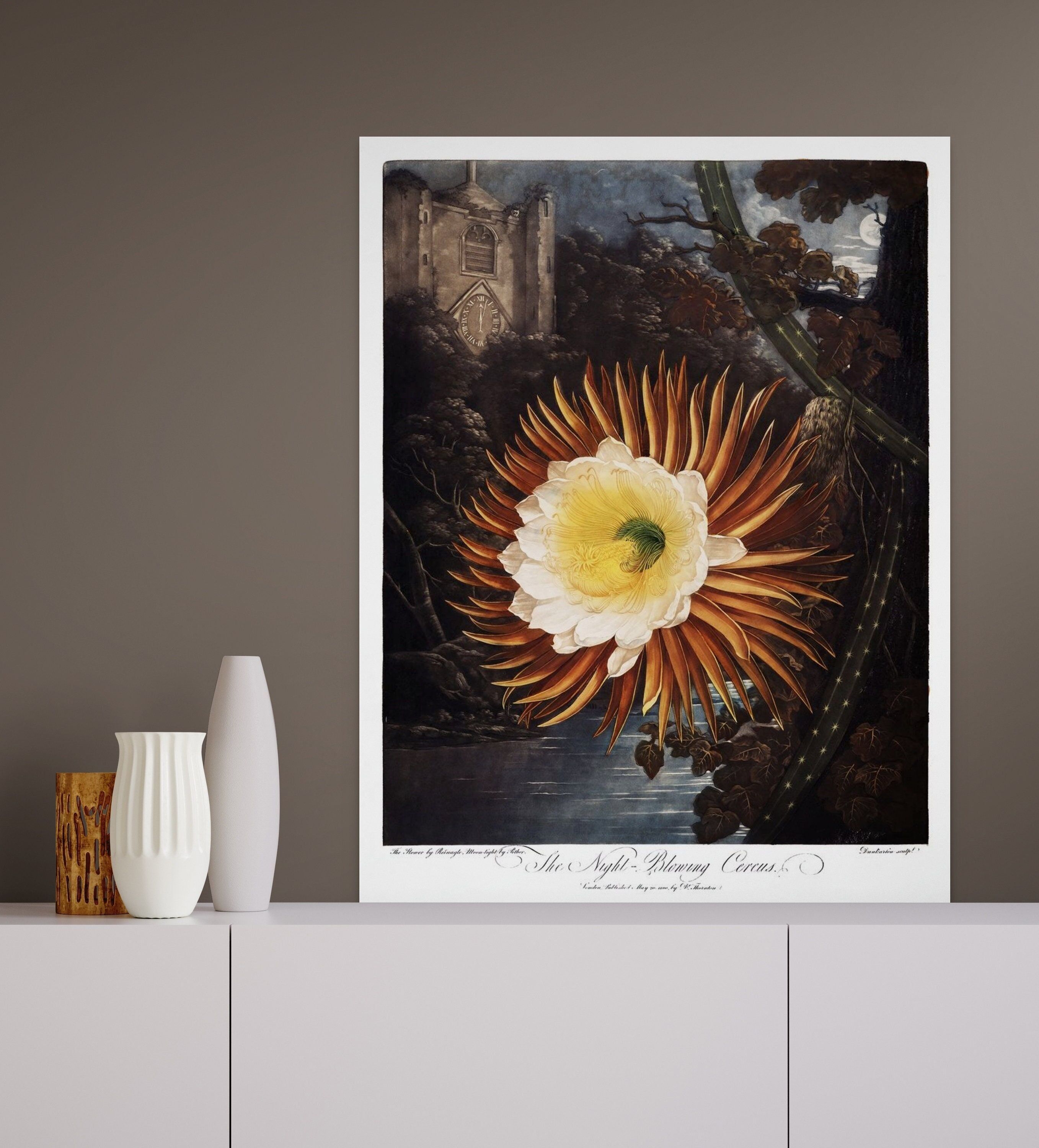 Stampa botanica d'epoca 1807 Cerere notturno – Tempio di Flora – Decorazione per camera da letto