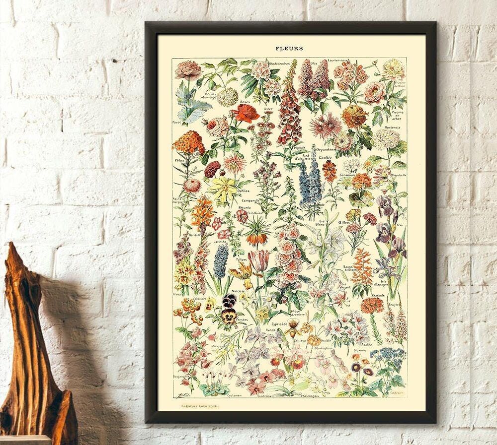 Poster floreale vintage – Arte botanica di Adolphe Millot – Poster scientifico premium