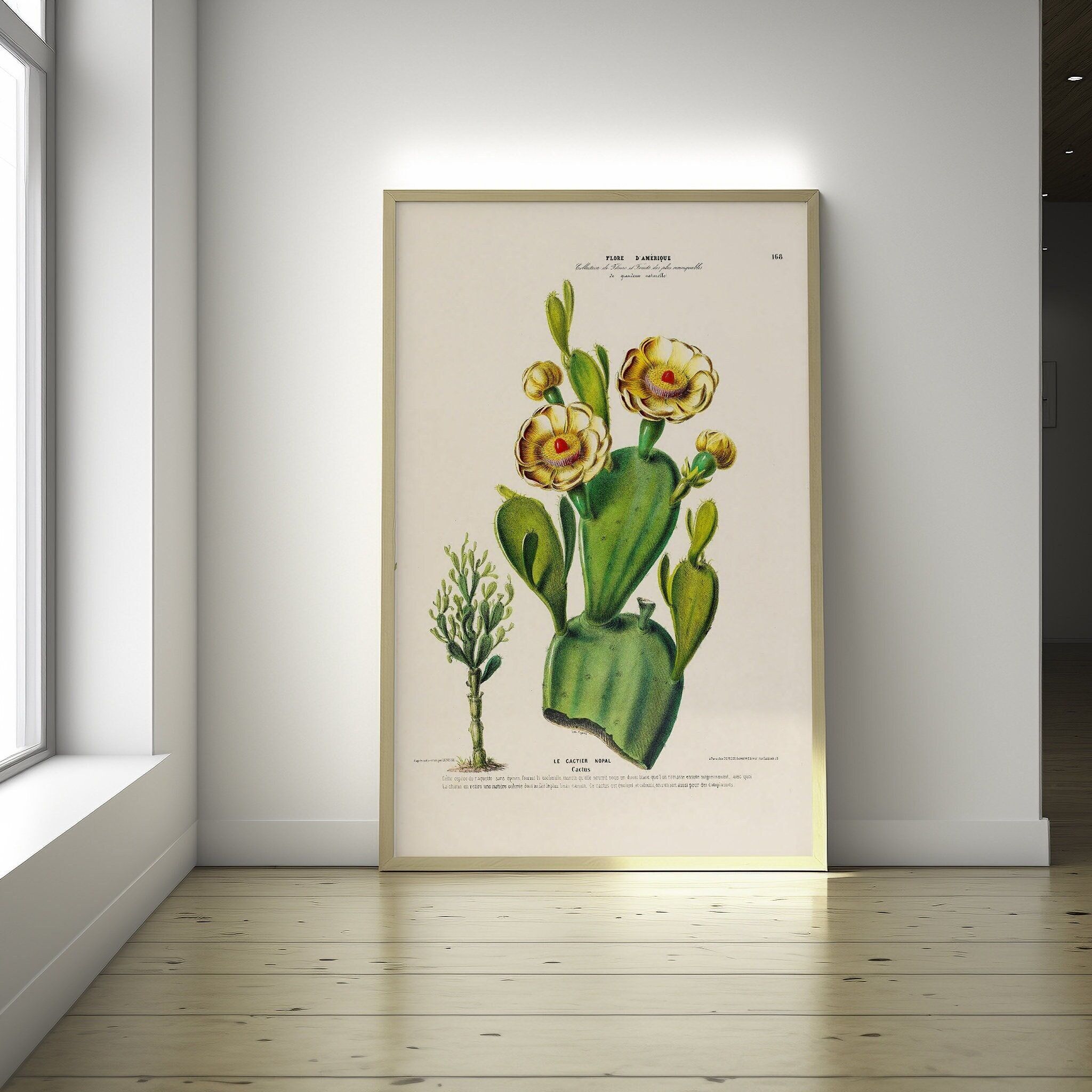 Poster Cactus da Cucina – Poster Cactus – Decorazione Botanica per la Casa