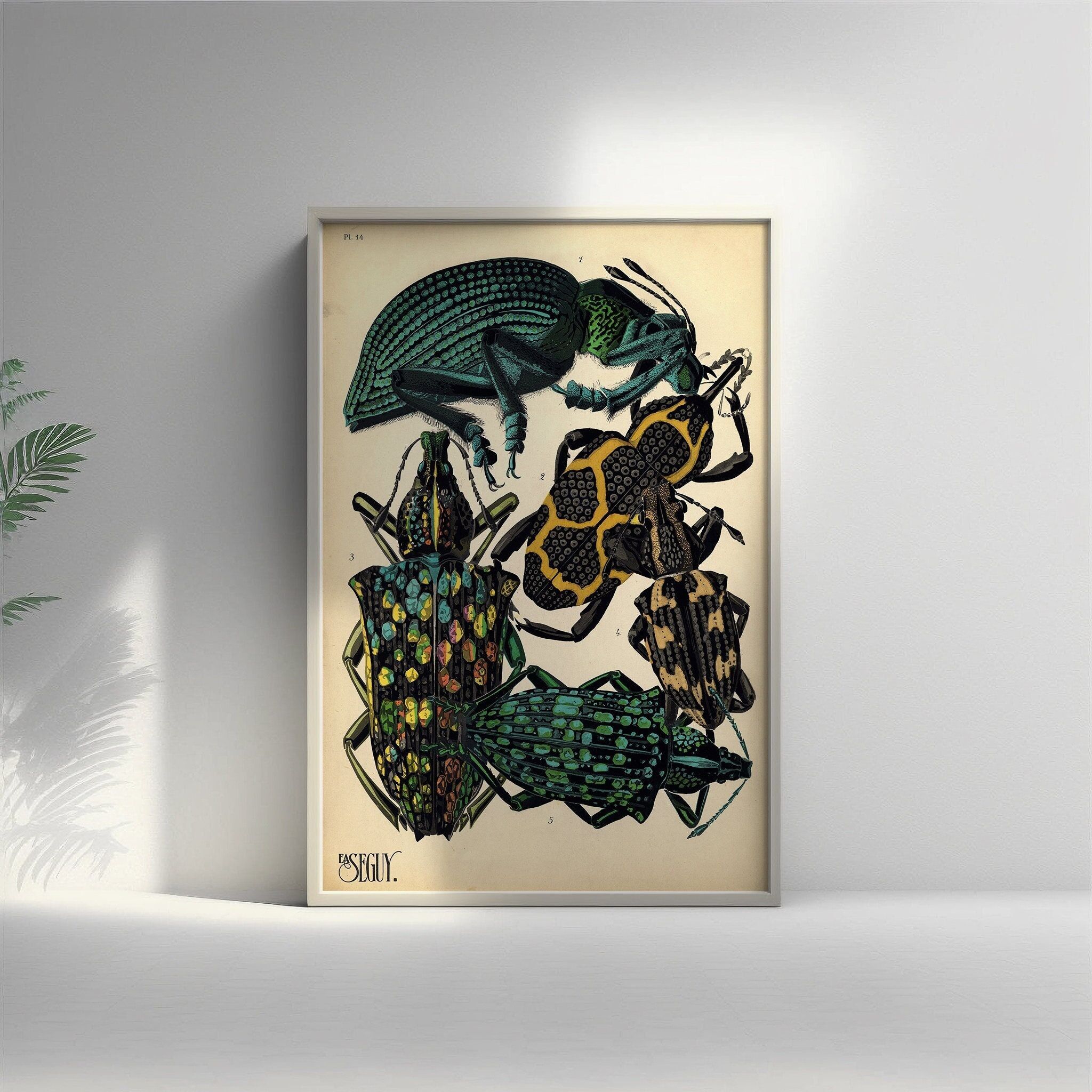 Poster vintage con coleottero botanico – Arte murale di insetti di alta qualità