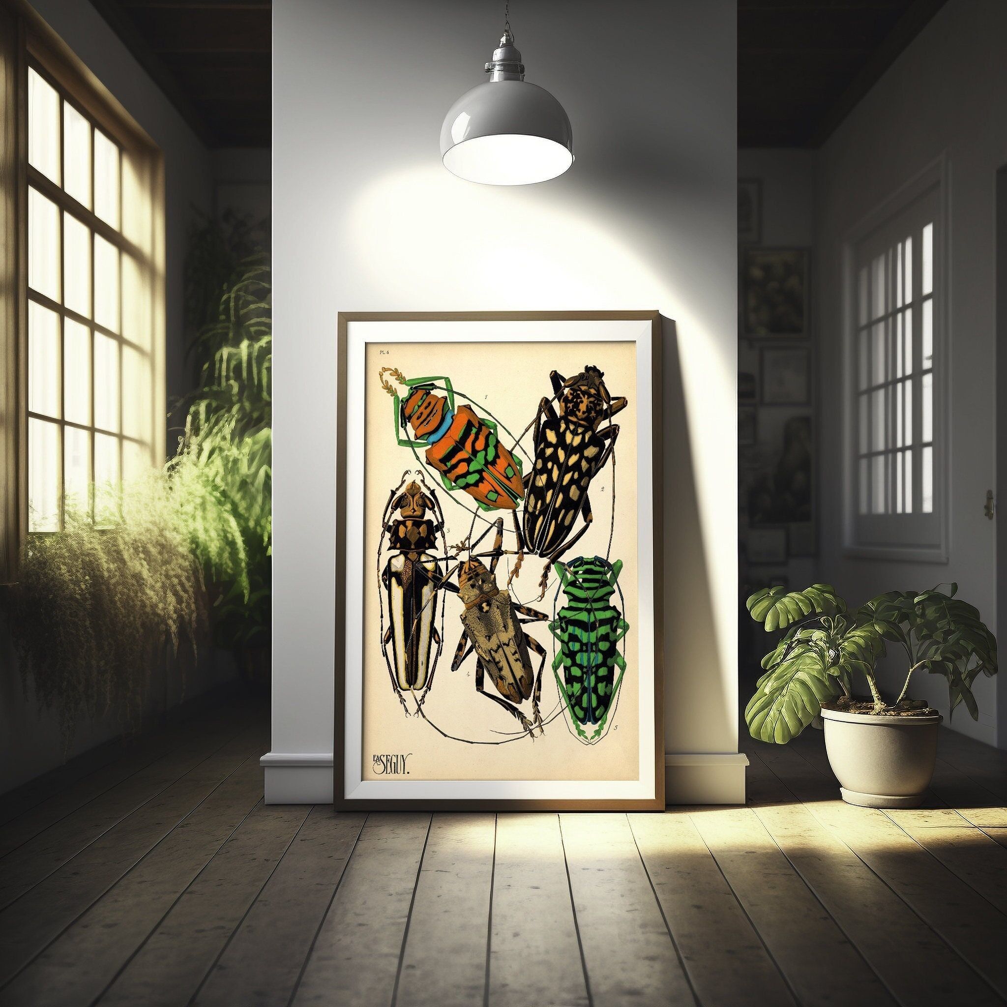 Poster vintage di coleottero - Arte murale botanica di alta qualità con insetti