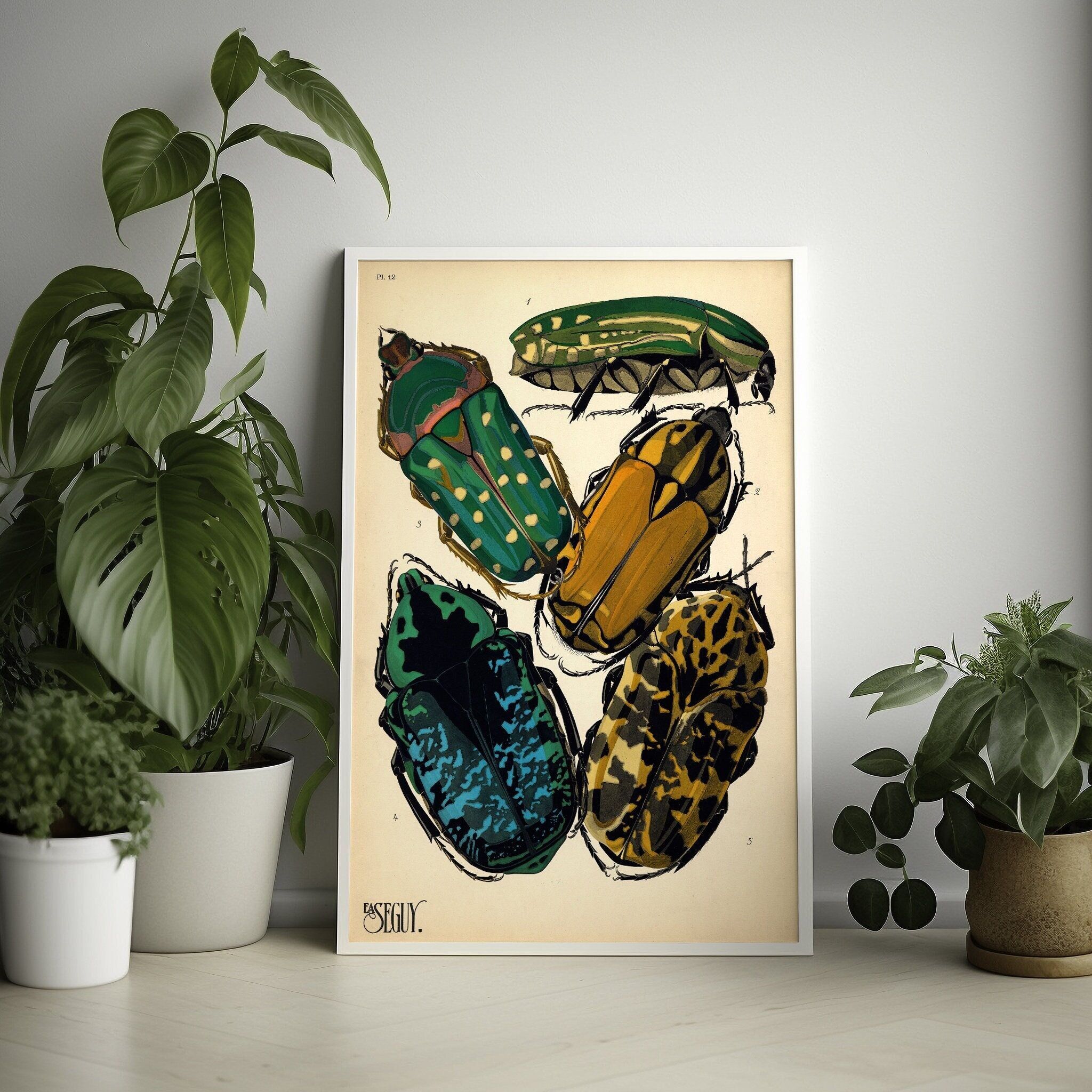 Poster da parete vintage con scarabeo diamantato – Arte da parete di insetti botanici di alta qualità