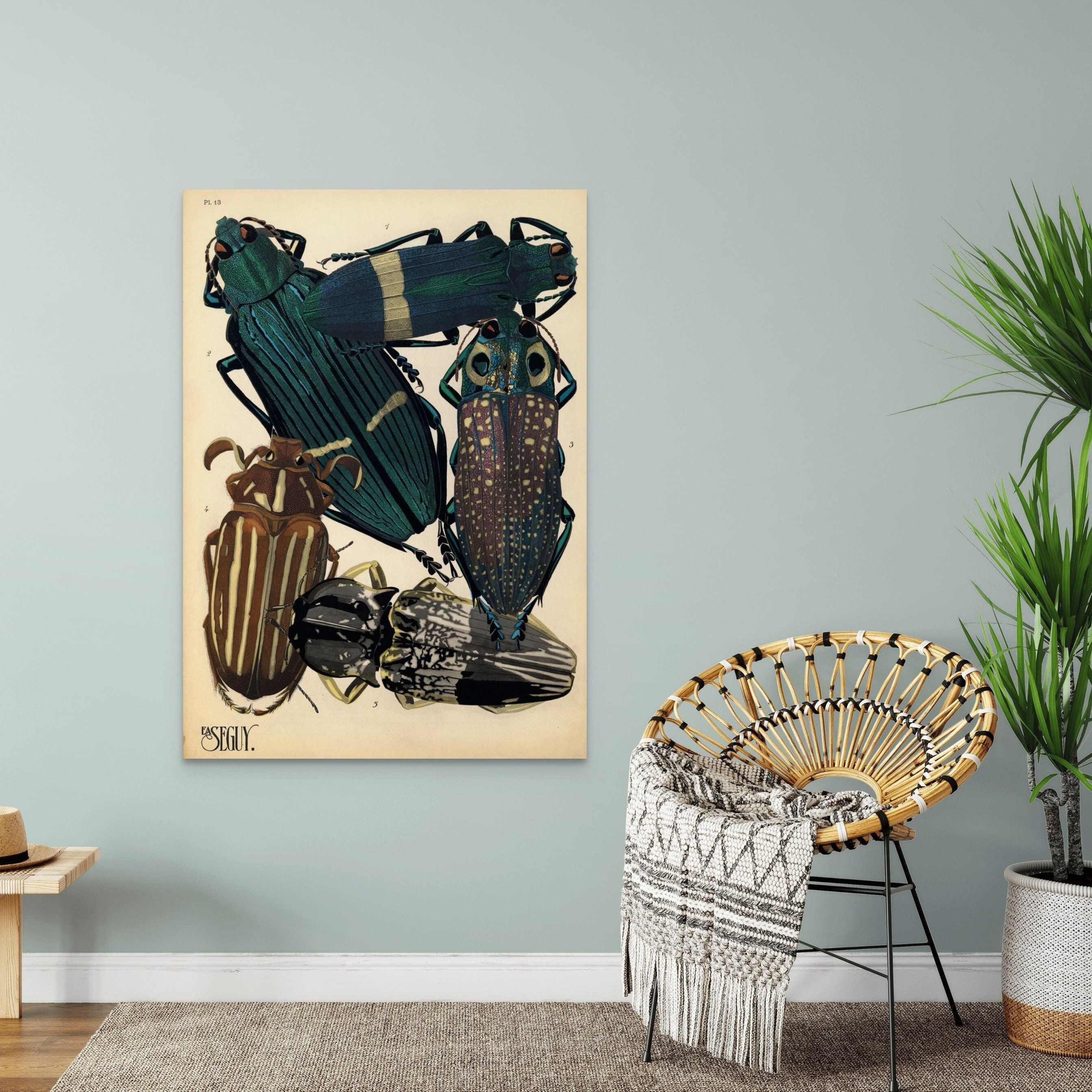 Poster da parete con coleottero vintage – Arte da parete botanica di alta qualità – Arte da parete con insetti