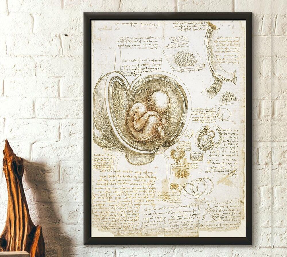 Stampa anatomica di Da Vinci – Poster medico – Poster anatomico del feto – Arte murale di Da Vinci