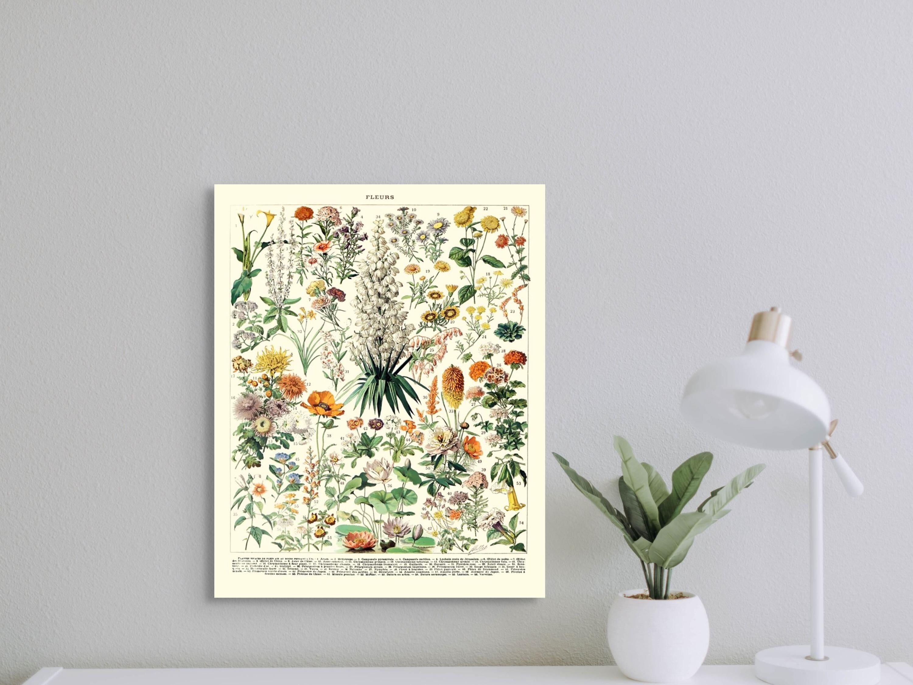 Decorazione murale floreale vintage – Stampa botanica del 1909 – Giardino romantico