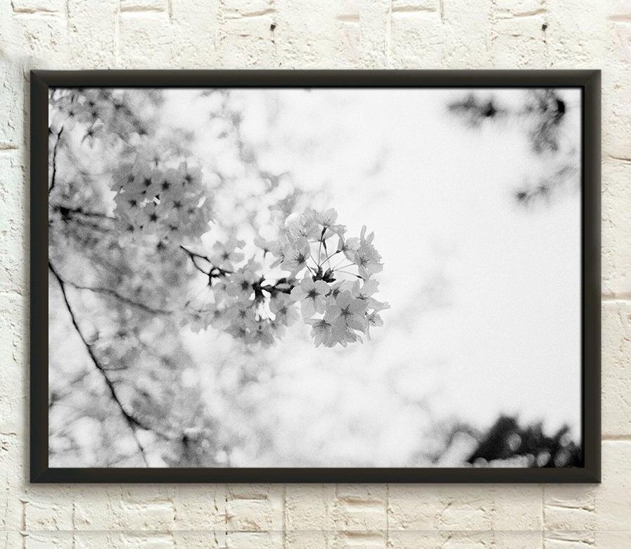 Stampa di fiori di ciliegio giapponesi – Stampa botanica primaverile colorata – Arte di fiori selvatici