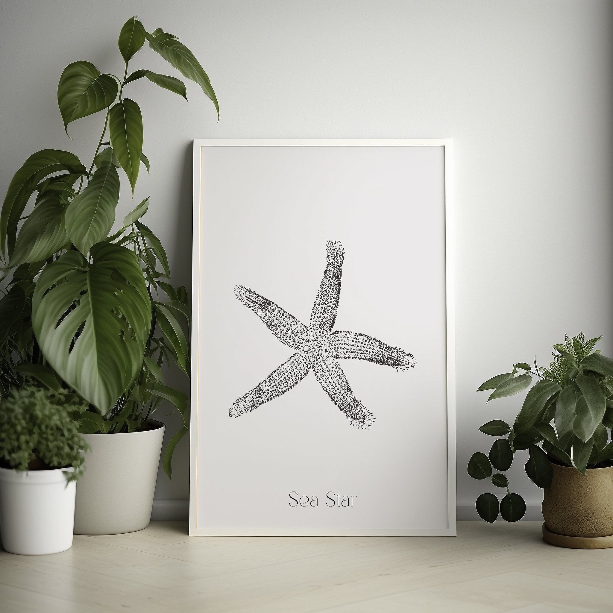 Stampa murale vintage con motivo marino – Stampa nautica – Poster con stelle marine – Idea regalo – Crea il tuo set