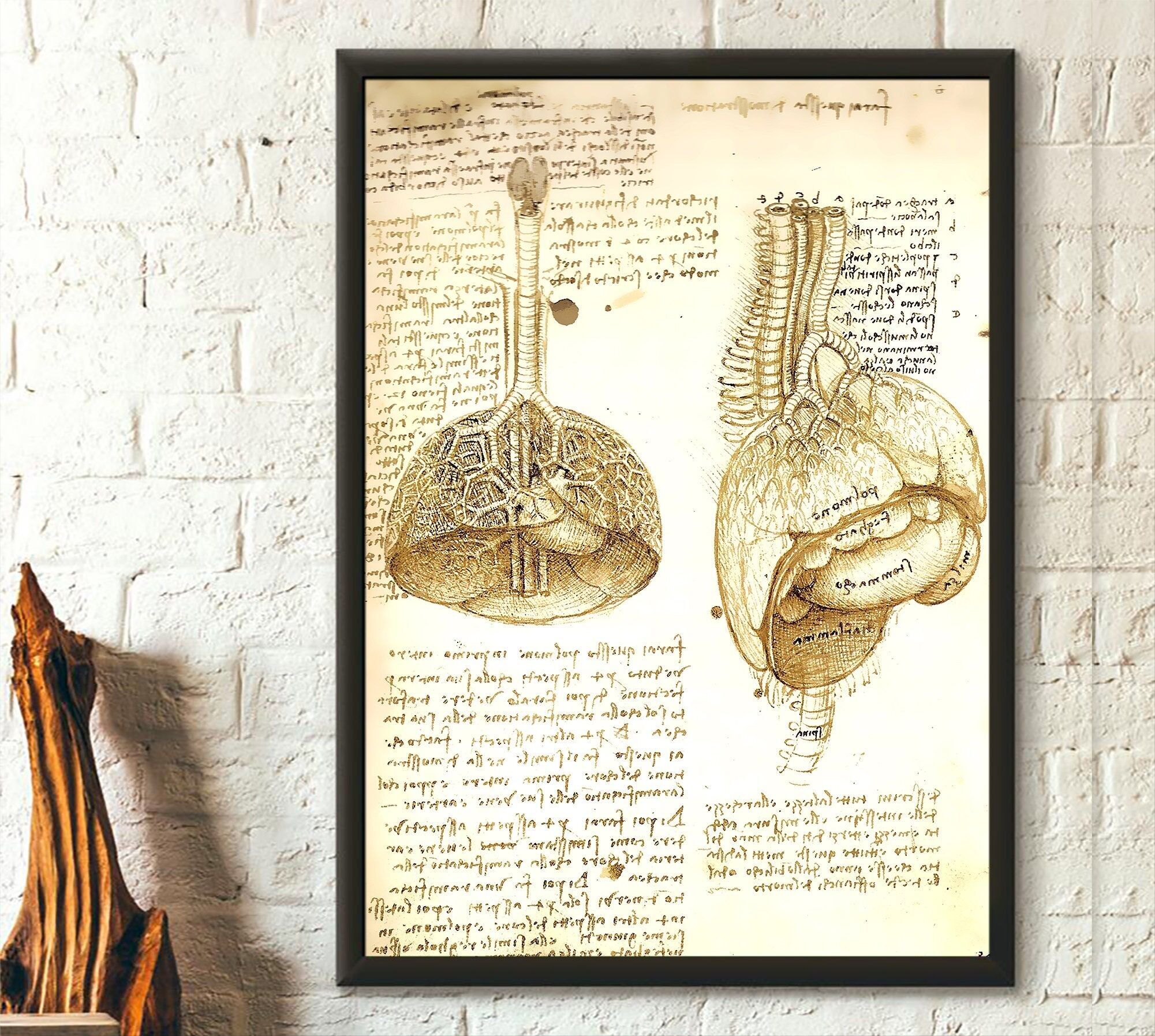 Stampa anatomica di Da Vinci – Stampa scientifica – Poster medico – Poster anatomico umano