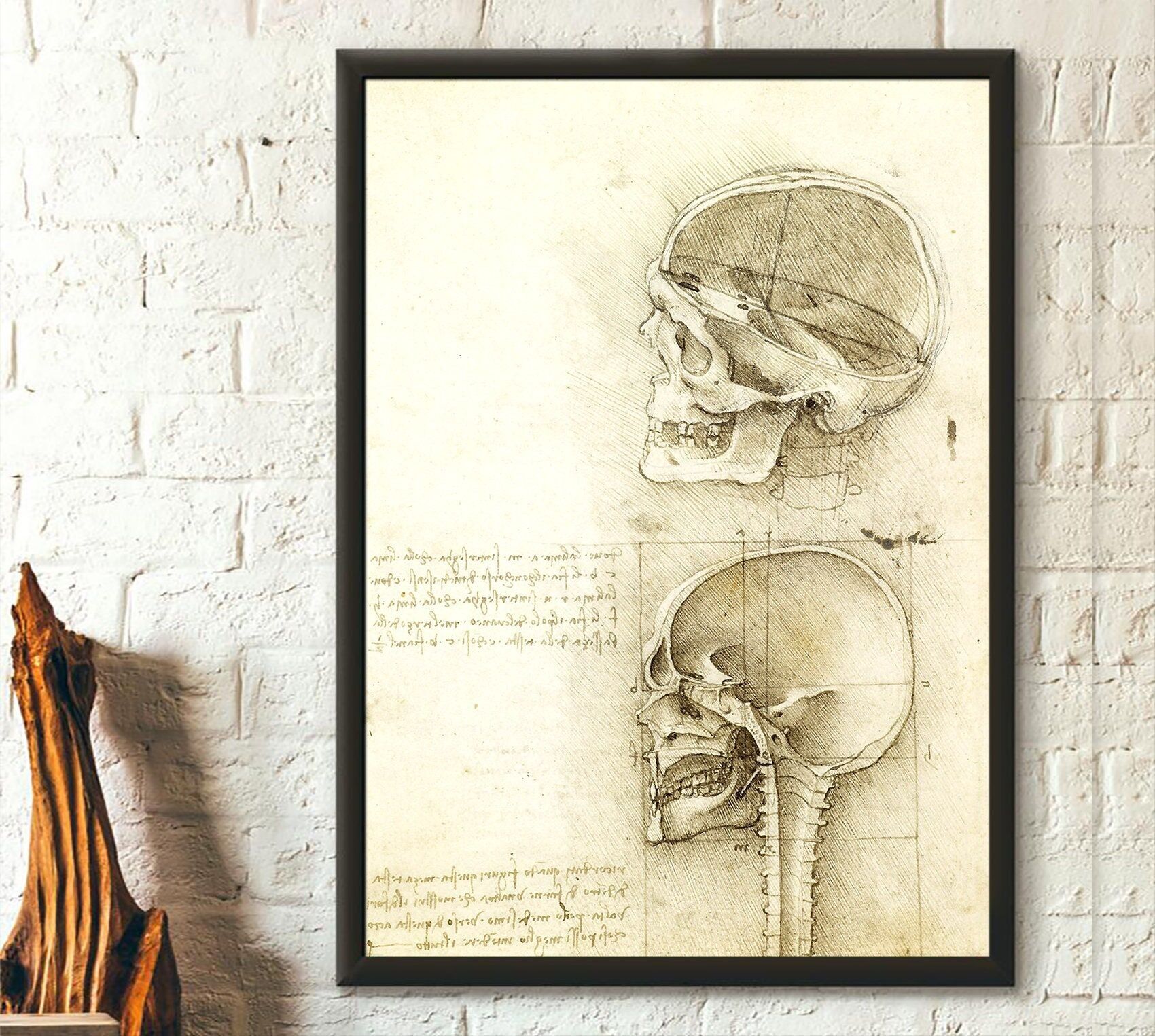 Stampa anatomica vintage – Arte medica umana – Poster con teschio – Decorazione anatomica