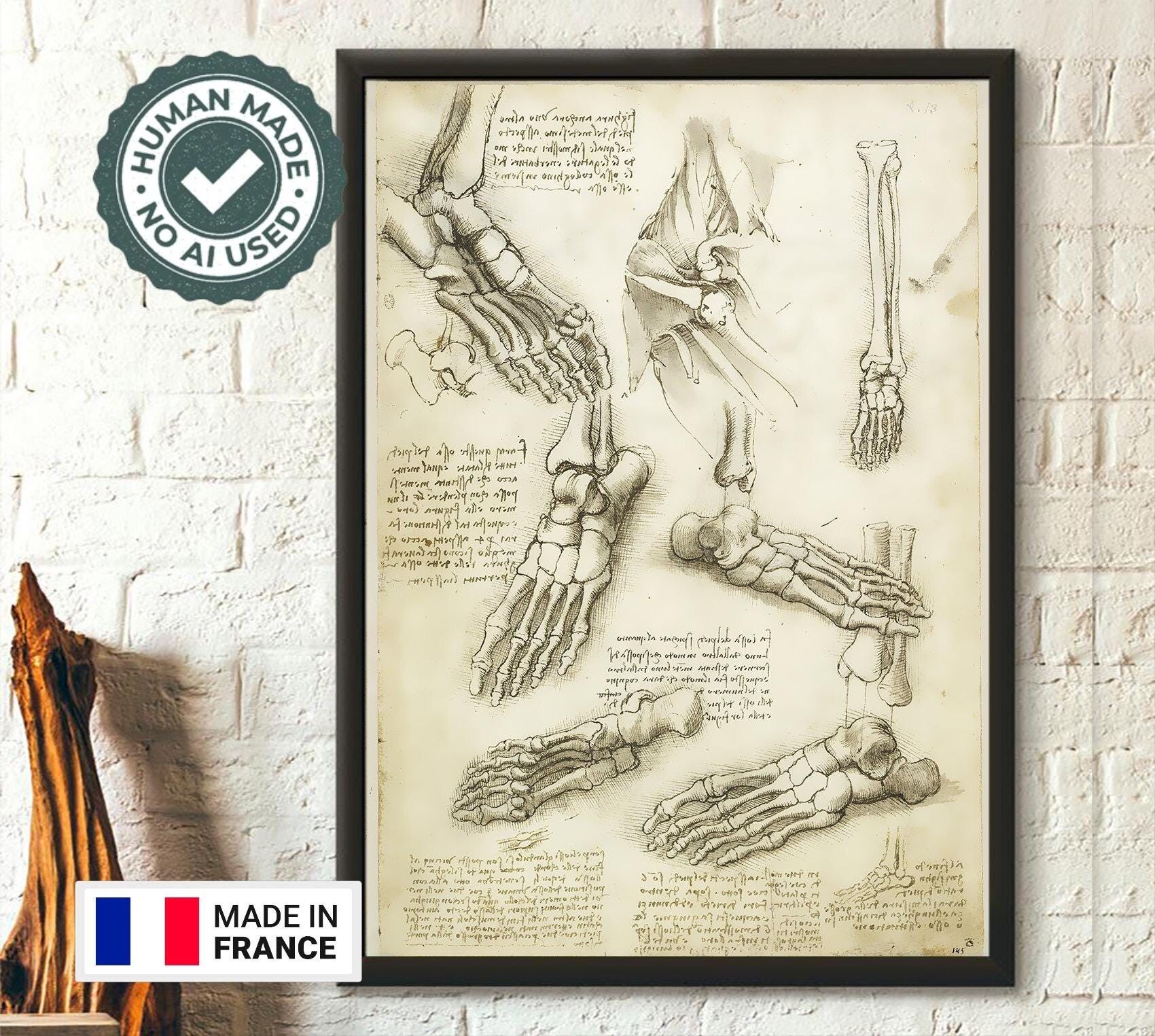 Stampa anatomica di Da Vinci – Poster medico – Poster anatomico umano – Arte murale medica
