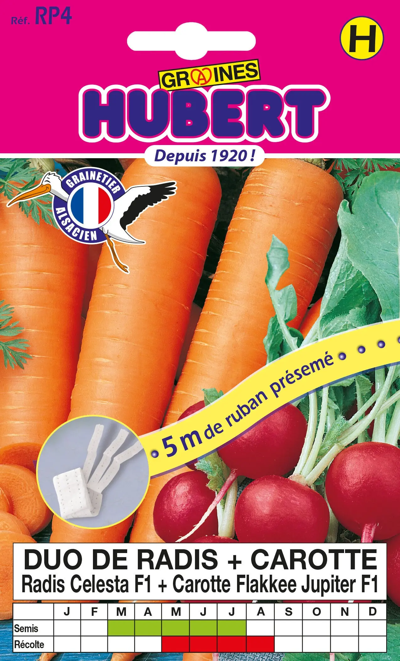 Buy wholesale 5 Meters of Pre-Sown Tape of DUO Carrot Seeds Flakee ...