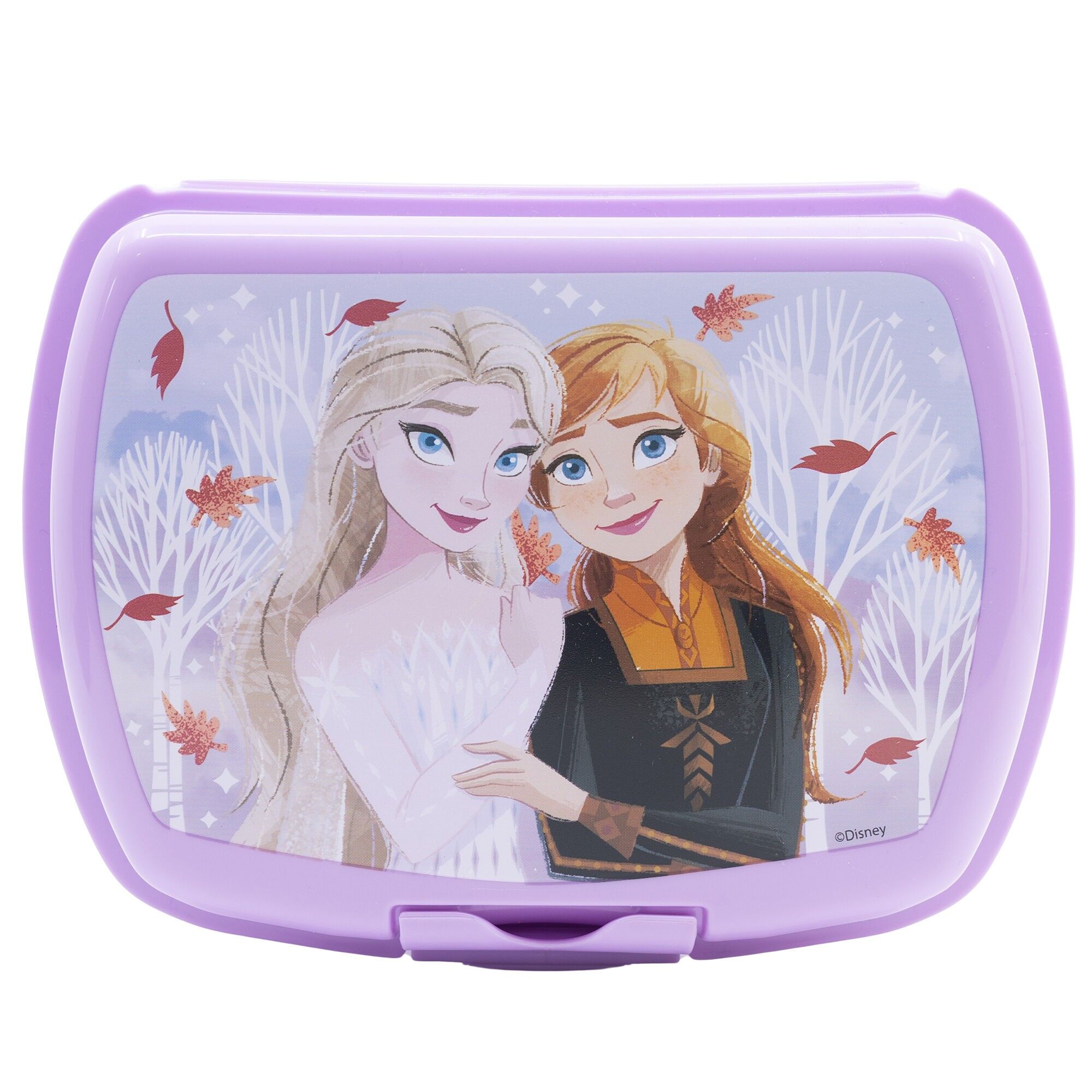 STOR SANDWICHERA URBAN FOGLIE AUTUNNALI CONGELATE