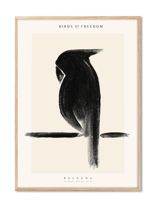 Yente - Birds of Freedom Bologna - 30x40 cm