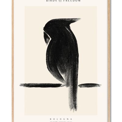 Yente - Uccelli della Libertà Bologna - 50x70 cm