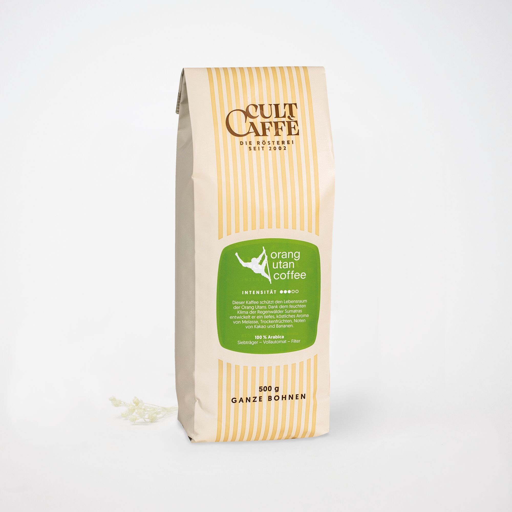 Cult Caffè Orangutan