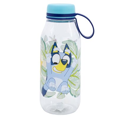 STOR ADVENTURE BOTTLE ECOZEN 460 ML BLU