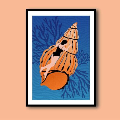 NUEVO Póster | Concha azul A3