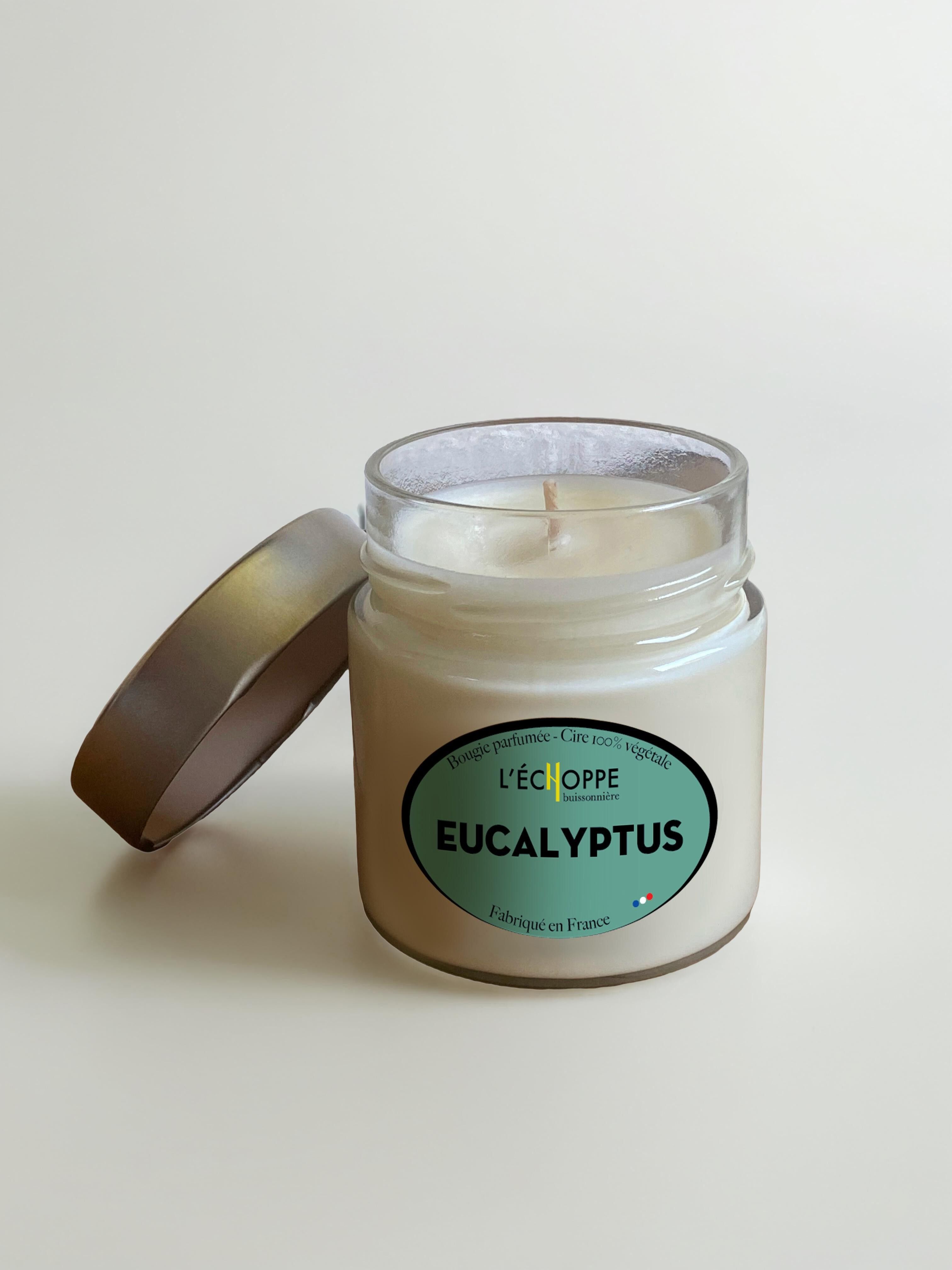 Eucalyptus - Bougie parfumée 180g