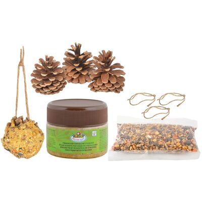 DIY bird feeder pine cones - Do-It-Yourself