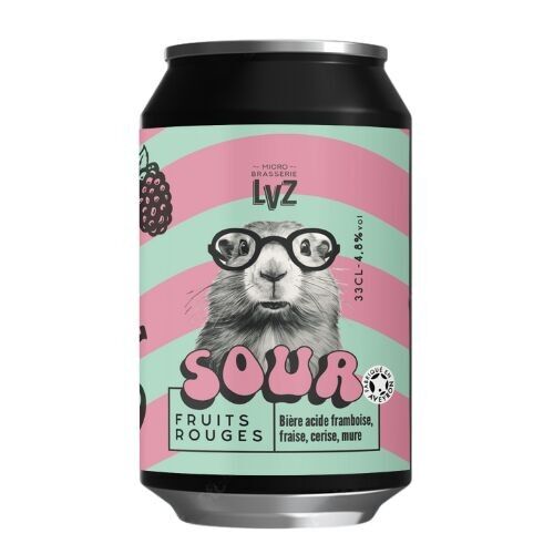Red fruit sour beer