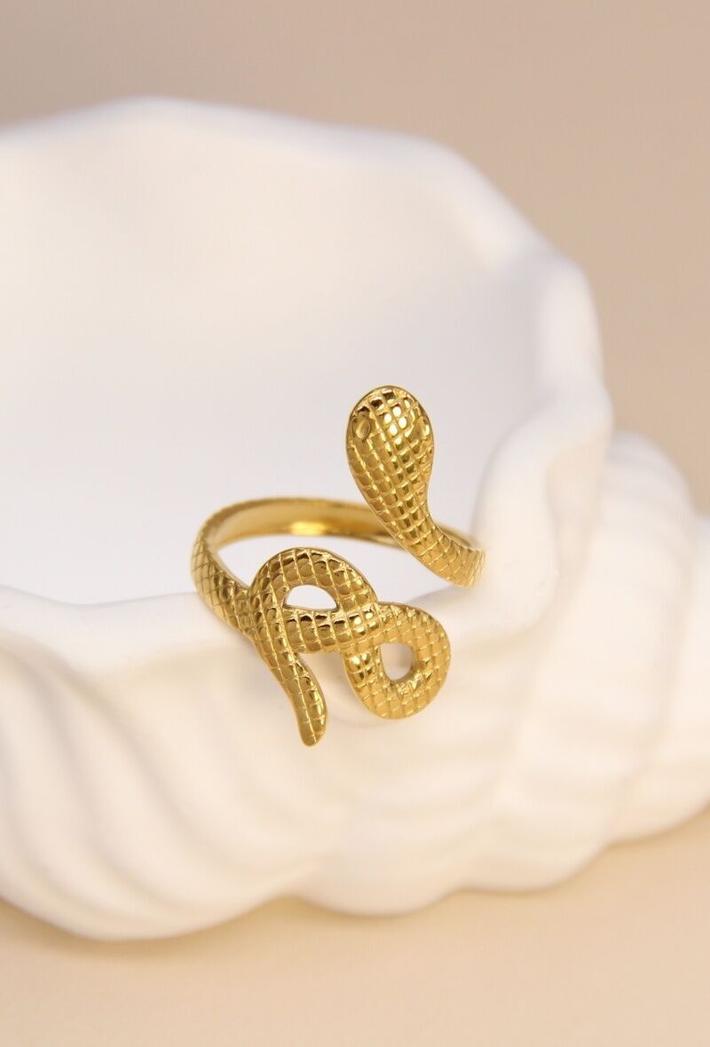 Ring "Mystical Serpent" - Strukturierter Edelstahl