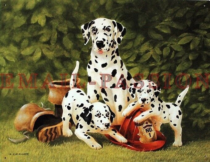 targa metallica DALMATI