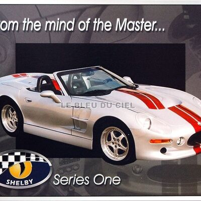 Piastra metallica SHELBY SERIE UNO