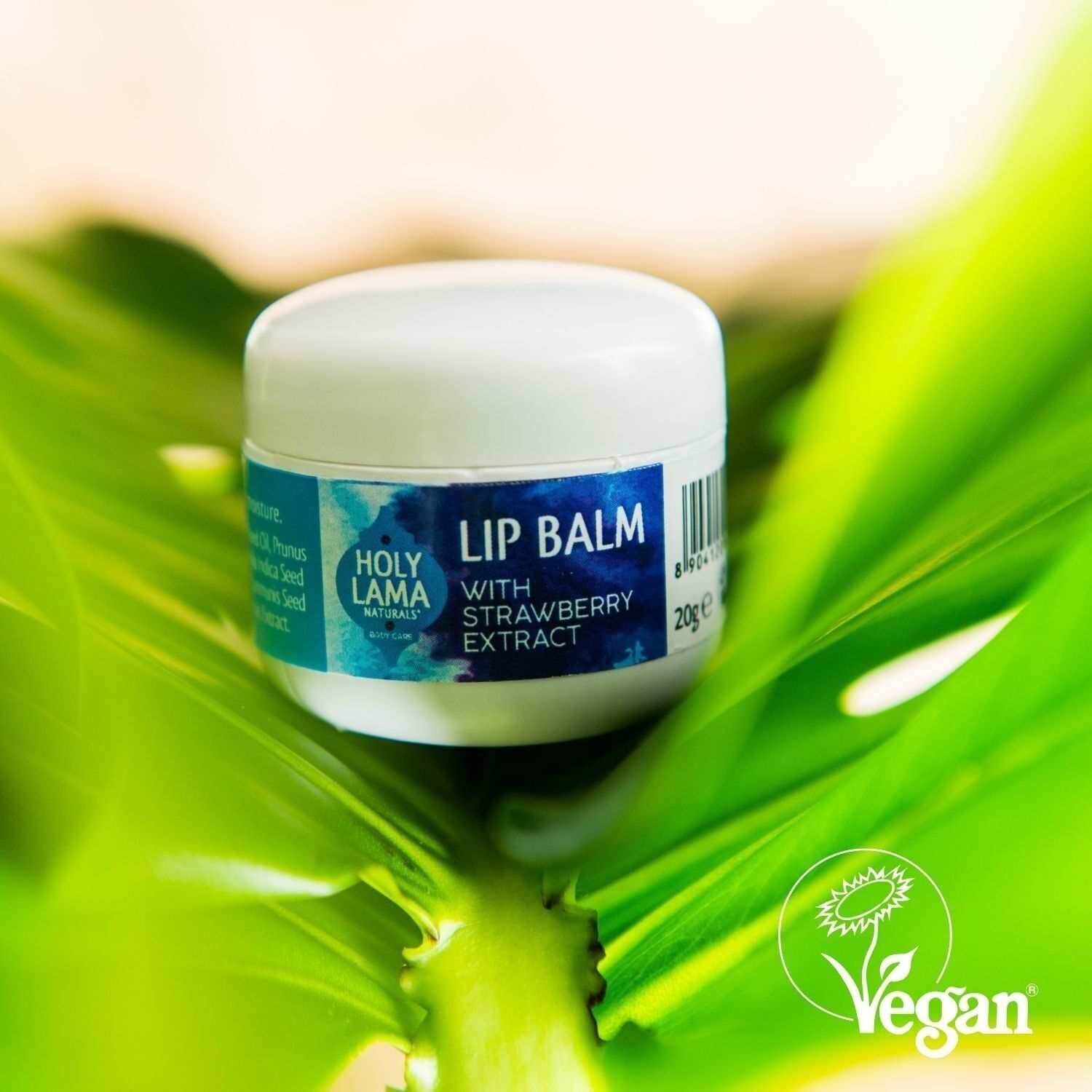 Ayurvedic Lip Bam, Natural with Cocoa Butter & Jojoba Oil