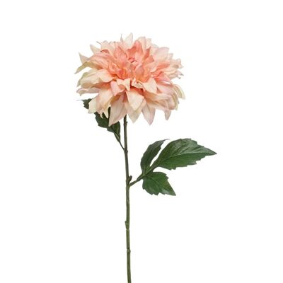 Dalia artificiale, pesca, 60 cm