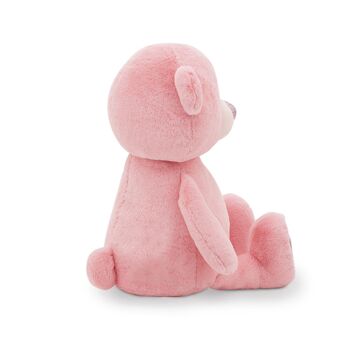 Fluffy l'ours rose 22 3