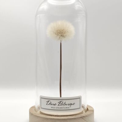 Dandelion Botanical Dome Top