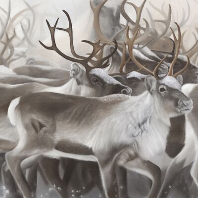 Reindeer Edition 02